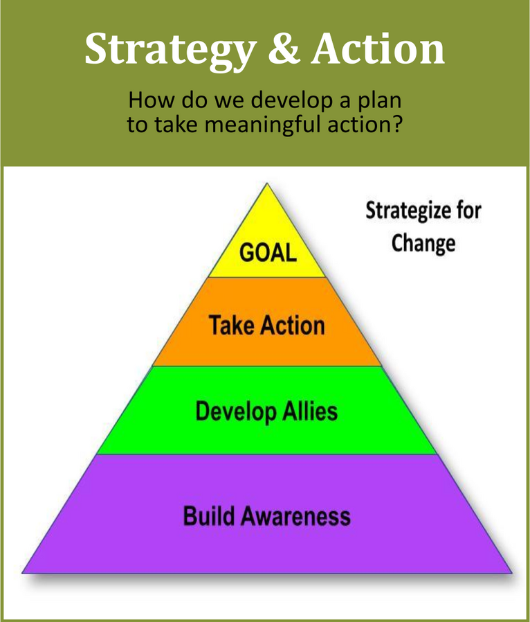 Strategy Triangle - Build awareness, develop allies, and take action towards a goal
